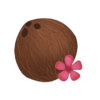 coco